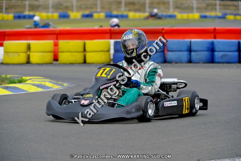 DSC_ (2256).jpg